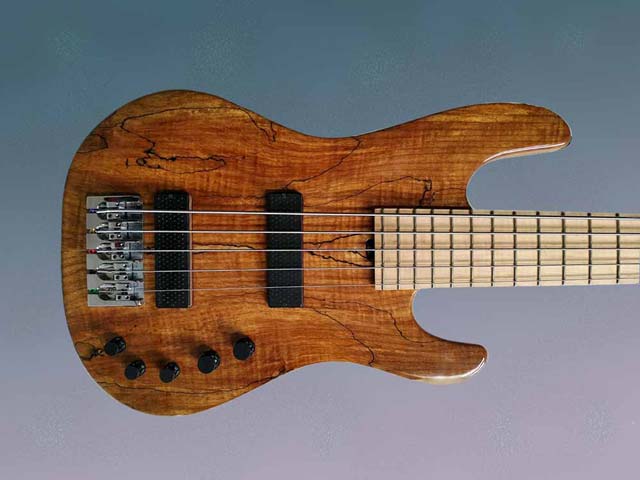 electric bass guitar
